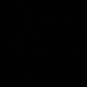 Meet your Posher, Samuel